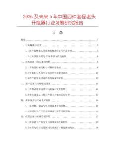 2026及未來5年中國四件套怪老頭開瓶器行業(yè)發(fā)展研究報告