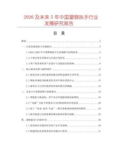 2026及未來5年中國塑鋼執手行業發展研究報告