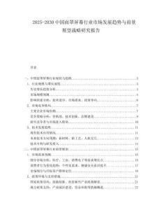 2025-2030中國面罩屏幕行業市場發展趨勢與前景展望戰略研究報告