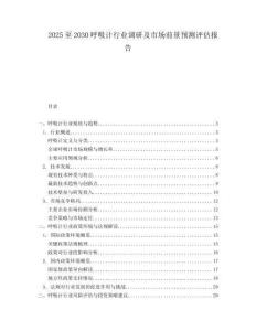 2025至2030呼吸计行业调研及市场前景预测评估报告