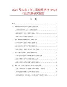 2026及未来5年中国模具钢材HPM38行业发展研究报告