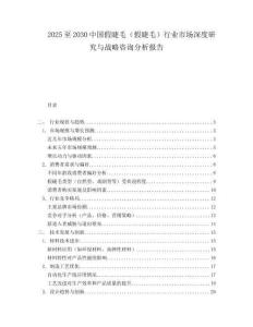 2025至2030中國(guó)假睫毛（假睫毛）行業(yè)市場(chǎng)深度研究與戰(zhàn)略咨詢分析報(bào)告