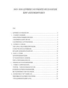 2025-2030皮革服裝行業市場深度分析及未來發展趨勢與投資規劃研究報告