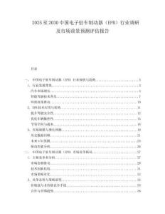 2025至2030中國電子駐車制動器（EPB）行業調研及市場前景預測評估報告