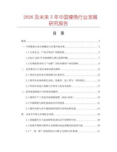 2026及未來5年中國鎳角行業發展研究報告