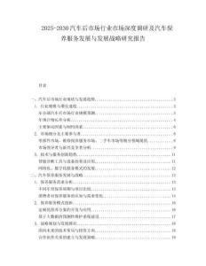 2025-2030汽車后市場行業市場深度調研及汽車保養服務發展與發展戰略研究報告