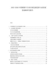2025-2030中國圓鋸片行業市場發展趨勢與前景展望戰略研究報告