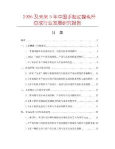 2026及未來5年中國手制動操縱桿總成行業發展研究報告