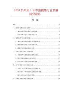 2026及未來5年中國擱角行業發展研究報告