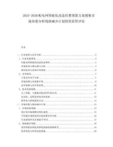 2025-2030配電網智能化改造經費預算方案搜集市場容量分析線損減少計劃投資監管評估