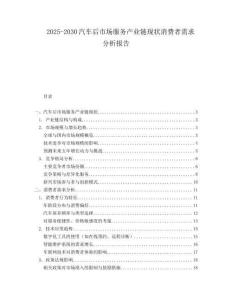 2025-2030汽車后市場服務(wù)產(chǎn)業(yè)鏈現(xiàn)狀消費者需求分析報告