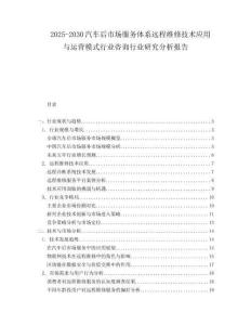 2025-2030汽車后市場(chǎng)服務(wù)體系遠(yuǎn)程維修技術(shù)應(yīng)用與運(yùn)營(yíng)模式行業(yè)咨詢行業(yè)研究分析報(bào)告