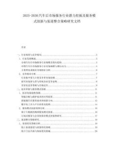 2025-2030汽車后市場服務(wù)行業(yè)潛力挖掘及服務(wù)模式創(chuàng)新與渠道整合策略研究文檔