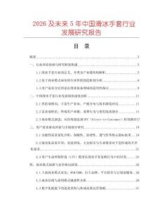 2026及未來5年中國滑冰手套行業(yè)發(fā)展研究報(bào)告