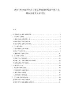 2025-2030皮革制品行業品牌建設市場競爭格局發展創新研究分析報告