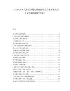 2025-2030汽車后市場運維深度研究及服務模式與企業品牌策略研究報告