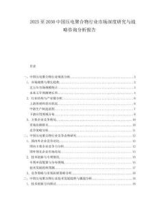 2025至2030中國壓電聚合物行業市場深度研究與戰略咨詢分析報告