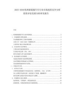 2025-2030歐洲新能源汽車行業市場現狀競爭分析投資評估發展分析研究報告