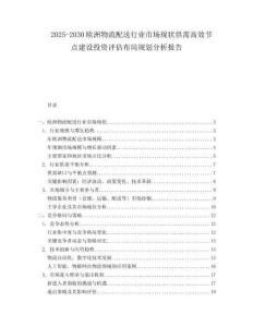 2025-2030歐洲物流配送行業市場現狀供需高效節點建設投資評估布局規劃分析報告