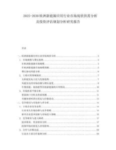 2025-2030歐洲新能源應用行業市場現狀供需分析及投資評估規劃分析研究報告
