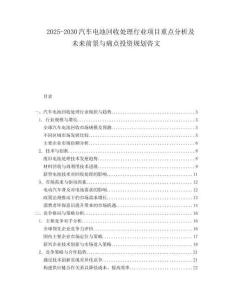2025-2030汽車電池回收處理行業項目重點分析及未來前景與痛點投資規劃咨文