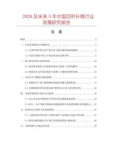 2026及未來5年中國回形針筒行業發展研究報告
