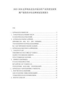 2025-2030皮革制品皮包市場分析產業供需發展預測產能投資評估品牌規劃發展報告