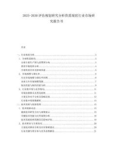 2025-2030評(píng)估規(guī)劃研究分析供需現(xiàn)狀行業(yè)市場(chǎng)研究報(bào)告書(shū)