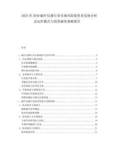 2025至2030磁療儀器行業(yè)市場(chǎng)風(fēng)險(xiǎn)投資業(yè)發(fā)展分析及運(yùn)作模式與投資融資策略報(bào)告