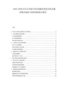2025-2030汽車后市場(chǎng)行業(yè)市場(chǎng)服務(wù)需求分析及服務(wù)模式創(chuàng)新與投資規(guī)劃組合報(bào)告