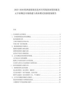 2025-2030歐洲虛擬現(xiàn)實(shí)技術(shù)應(yīng)用場(chǎng)景深度挖掘及元宇宙概念市場(chǎng)構(gòu)建與商業(yè)模式創(chuàng)新提案報(bào)告