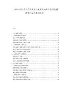 2025-2030皮雙合成電表對(duì)象蓄電池并行處理機(jī)械選型產(chǎn)品兒重輪速講