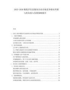 2025-2030葡萄牙信息服務企業市場競爭格局考察與資本投入發展策略報告