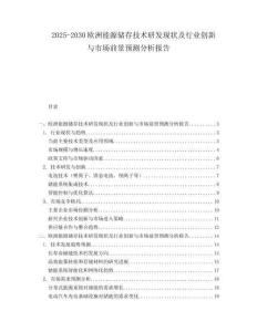 2025-2030歐洲能源儲存技術研發現狀及行業創新與市場前景預測分析報告