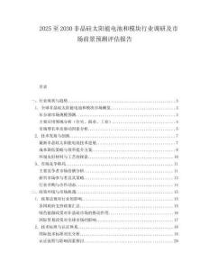 2025至2030非晶硅太陽能電池和模塊行業調研及市場前景預測評估報告