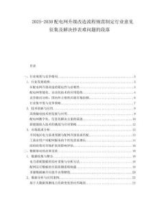 2025-2030配電網升級改造流程規范制定行業意見征集及解決抄表難問題的段落