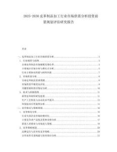 2025-2030皮革制品加工行業(yè)市場供需分析投資前景規(guī)劃評估研究報告