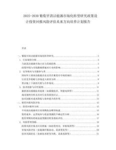 2025-2030葡萄牙清潔能源市場化轉型研究政策設計投資回報風險評估未來方向培養計劃報告
