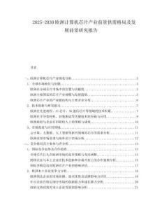 2025-2030歐洲計算機芯片產業前景供需格局及發展前景研究報告