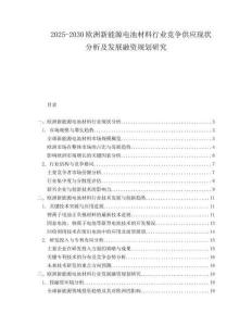 2025-2030歐洲新能源電池材料行業競爭供應現狀分析及發展融資規劃研究