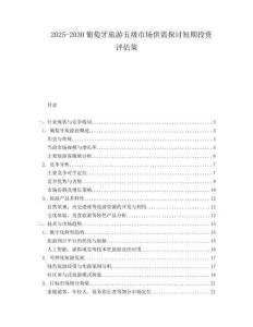 2025-2030葡萄牙旅游五級市場供需探討短期投資評估策