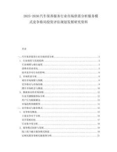 2025-2030汽車保養(yǎng)服務行業(yè)市場供需分析服務模式競爭格局投資評估規(guī)劃發(fā)展研究資料