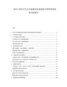2025-2030汽車后市場服務體系創新與銷售投資前景分析報告