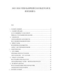2025-2030中國家電品牌連鎖行業市場競爭分析及投資發展潛力