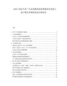 2025-2030汽車廣告業的媒體投放策略研究及線上線下整合營銷的效益分析研究