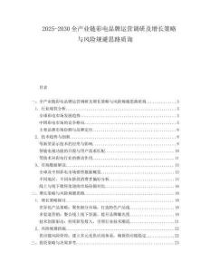 2025-2030全產業鏈彩電品牌運營調研及增長策略與風險規避思路質詢