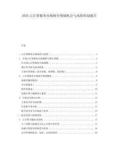 2025云計算服務市場細分領域機會與風險控制報告