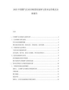 2025中國燃氣行業(yè)并購重組案例與資本運作模式分析報告
