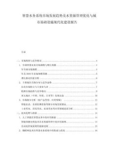 智慧水务系统市场发展趋势及水资源管理优化与城市基础设施现代化建设报告