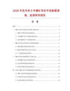 2026年及未來(lái)5年硼礦項(xiàng)目市場(chǎng)數(shù)據(jù)調(diào)查、監(jiān)測(cè)研究報(bào)告